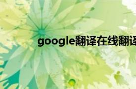 google翻译在线翻译网页版（Google翻译）