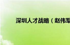 深圳人才战略（赵伟军 深圳市高层次专业人才）