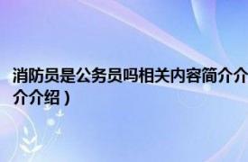 消防员是公务员吗相关内容简介介绍怎么写（消防员是公务员吗相关内容简介介绍）