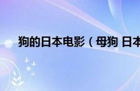 狗的日本电影（母狗 日本1951年木村惠吾执导电影）