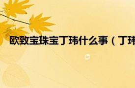 欧致宝珠宝丁玮什么事（丁玮 欧致宝珠宝总裁、薛蛮子妻子）