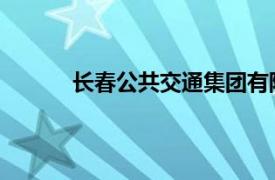 长春公共交通集团有限责任公司南通汽车公司