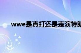 wwe是真打还是表演特朗普（wwe是真打还是表演）