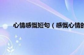 心情感慨短句（感慨心情的经典句子相关内容简介介绍）