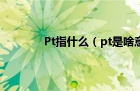 Pt指什么（pt是啥意思相关内容简介介绍）