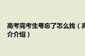 高考完考生号忘了怎么找（高考考生号忘记了怎么办相关内容简介介绍）