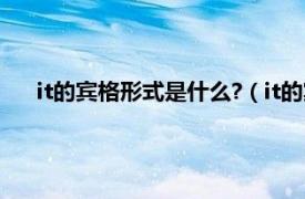 it的宾格形式是什么?（it的宾格是什么相关内容简介介绍）