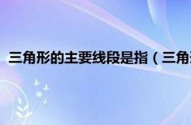 三角形的主要线段是指（三角形有关的线段相关内容简介介绍）