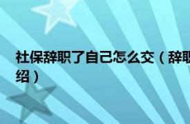 社保辞职了自己怎么交（辞职后社保自己怎么交相关内容简介介绍）