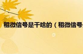 租微信号是干啥的（租微信号是干什么用的相关内容简介介绍）