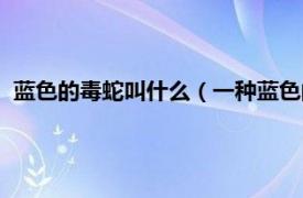 蓝色的毒蛇叫什么（一种蓝色的蛇叫做什么相关内容简介介绍）