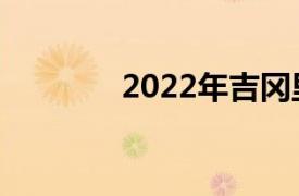 2022年吉冈里帆主演的日剧