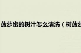 菠萝蜜的树汁怎么清洗（树菠萝的汁怎么洗掉相关内容简介介绍）