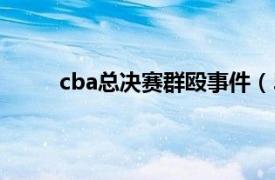 cba总决赛群殴事件（528男篮邀请赛群殴事件）