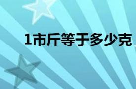 1市斤等于多少克（1市斤等于多少斤）