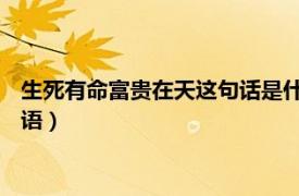 生死有命富贵在天这句话是什么意思（死生有命富贵在天 汉语谚语）