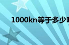 1000kn等于多少吨（1kn等于多少吨）