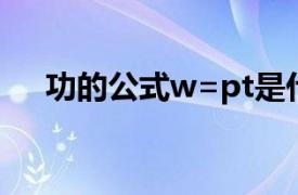 功的公式w=pt是什么意思（功的公式）