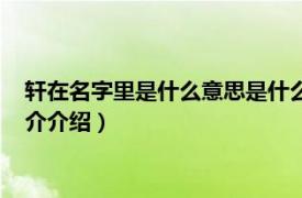 轩在名字里是什么意思是什么（呜呜轩轩是什么意思相关内容简介介绍）