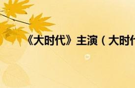 《大时代》主演（大时代 2011年汪俊执导电视剧）