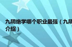 九阴绝学哪个职业最强（九阴绝学哪个职业pk厉害相关内容简介介绍）