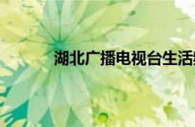 湖北广播电视台生活频道（湖北广播电视台）