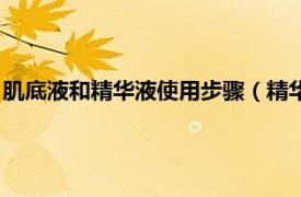 肌底液和精华液使用步骤（精华肌底液怎么用相关内容简介介绍）