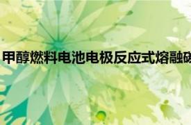 甲醇燃料电池电极反应式熔融碳酸盐（甲醇燃料电池电极反应式）