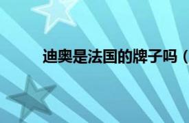 迪奥是法国的牌子吗（迪奥 法国时尚消费品牌）