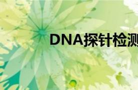 DNA探针检测（DNA型探针）