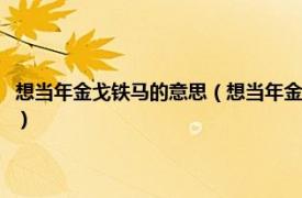 想当年金戈铁马的意思（想当年金戈铁马的下一句是什么相关内容简介介绍）