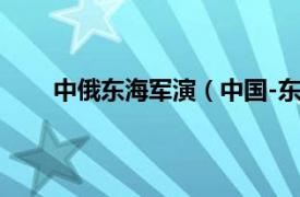 中俄东海军演（中国-东盟海上联合军演实兵演习）