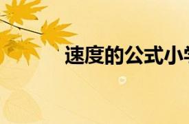 速度的公式小学（速度的公式）