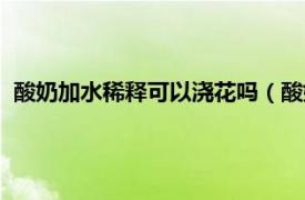 酸奶加水稀释可以浇花吗（酸奶水能浇花吗相关内容简介介绍）