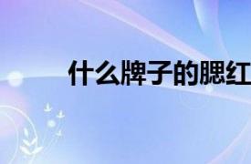 什么牌子的腮红好？相关内容简介