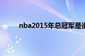 nba2015年总冠军是谁（15年nba总冠军是谁）