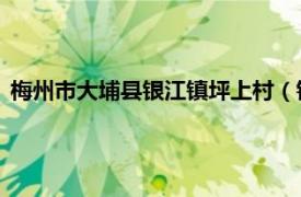 梅州市大埔县银江镇坪上村（银江镇 广东省梅州市大埔县辖镇）