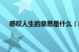 感叹人生的意思是什么（感叹人生相关内容简介介绍）