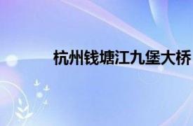 杭州钱塘江九堡大桥（杭州市九堡大桥工程）