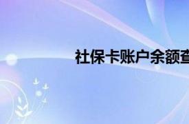 社保卡账户余额查询（账户余额查询）