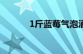 1斤蓝莓气泡酒需要多少冰糖？