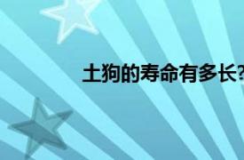 土狗的寿命有多长?（土狗的寿命有多长）