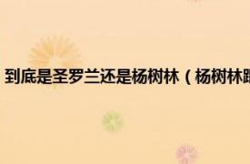 到底是圣罗兰还是杨树林（杨树林跟圣罗兰有什么区别相关内容简介介绍）