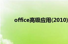 office高级应用(2010)（Office 2013应用大全）