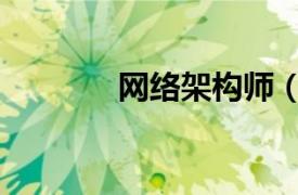 网络架构师（网络系统架构）