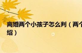 离婚两个小孩子怎么判（两个孩子离婚怎么判决相关内容简介介绍）