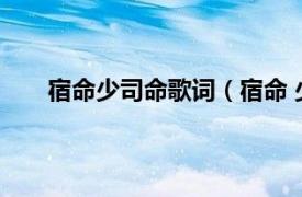 宿命少司命歌词（宿命 少司命、CRITTY演唱歌曲）