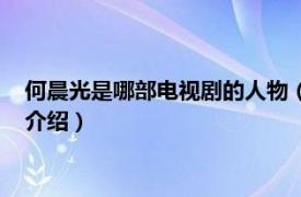 何晨光是哪部电视剧的人物（何晨光是什么电视剧相关内容简介介绍）