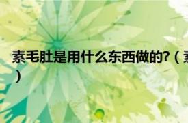 素毛肚是用什么东西做的?（素毛肚是什么做的相关内容简介介绍）