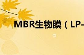 MBR生物膜（LP-MBR膜生物反应器）